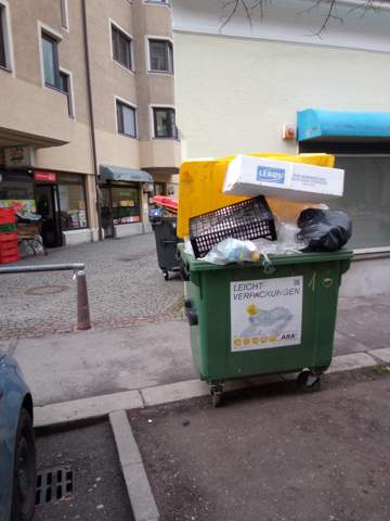 Bild zum Beitrag