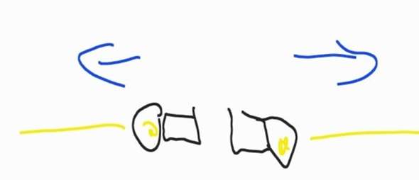Bild zum Beitrag
