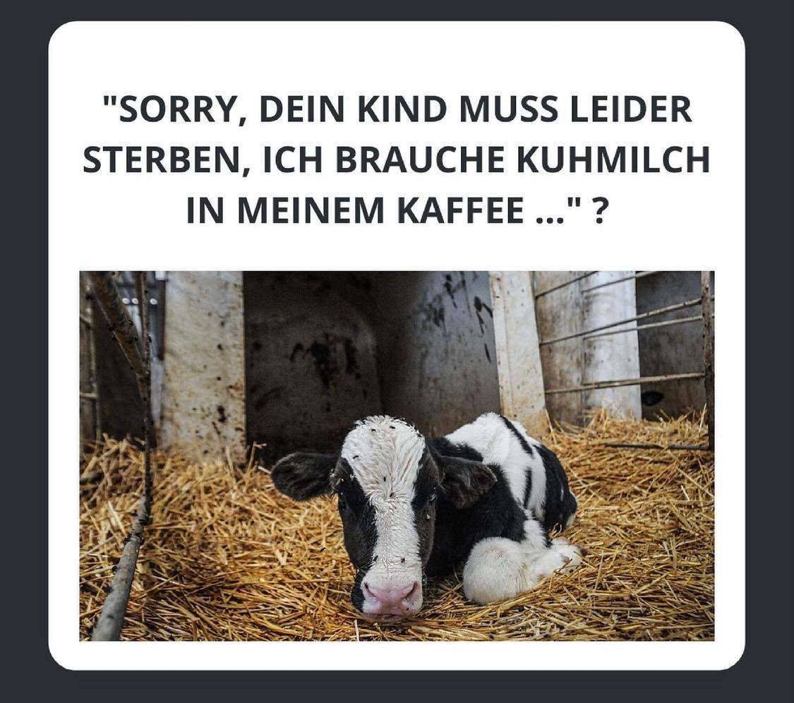 Wenn Tiere unsere Sprache sprechen könnten, was würden wir ihnen sagen