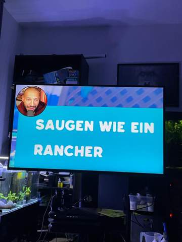 Bild zum Beitrag