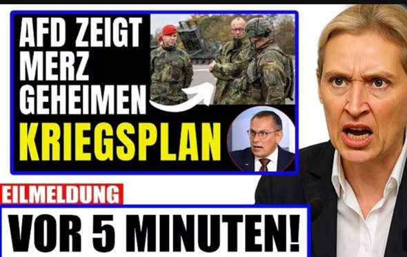 Bild zum Beitrag