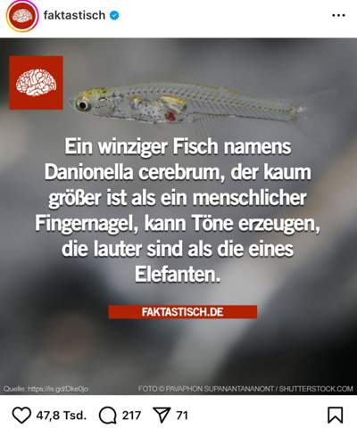 Bild zum Beitrag