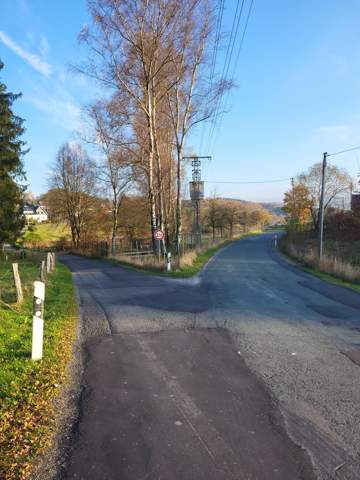 Bild zum Beitrag