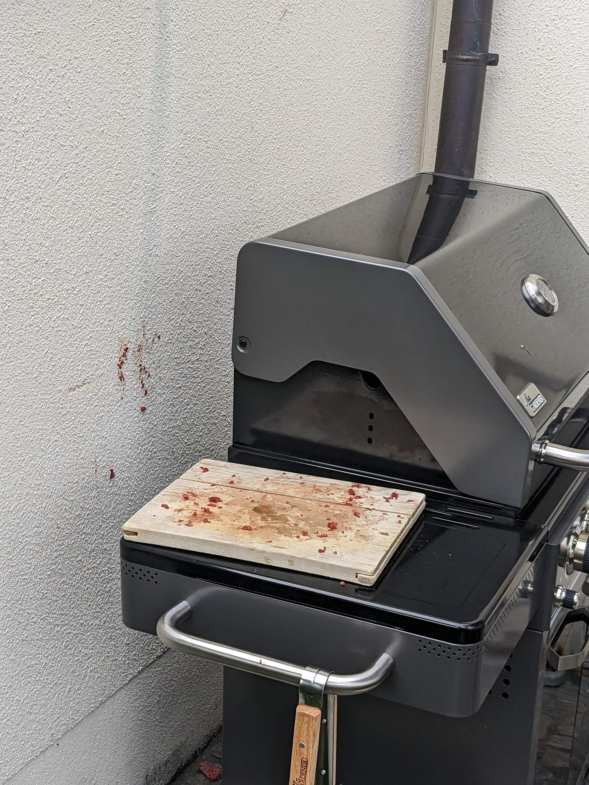 Wer hat Schuld an dem Unfall im Garten? (Fleisch, Veganismus, Grillen) Wer hat Schuld an dem Unfall im Garten? (Fleisch, Veganismus, Grillen)