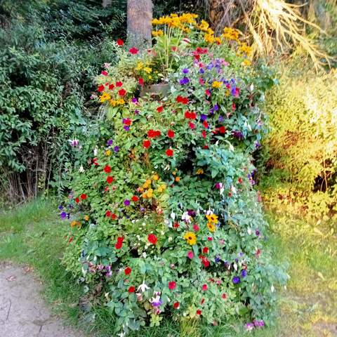 Bild zum Beitrag