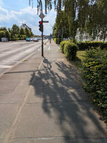 Bild zum Beitrag