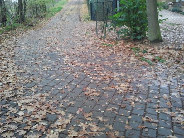 2. Teilstrecke, Kurve bis Eingangstor zum Mietshaus - (Haftung, Winterdienst, Privatweg)