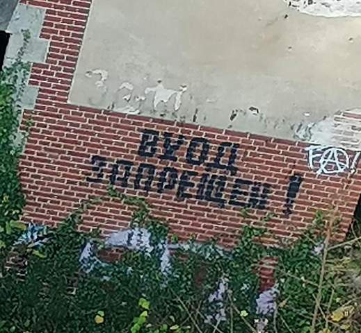 Bild zum Beitrag