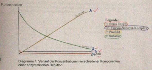 Enzymstrukturdiagramm