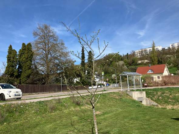 Bild zum Beitrag