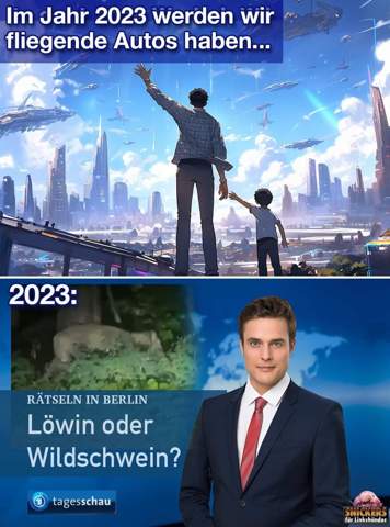 Bild zum Beitrag