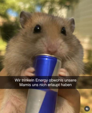 Bild zum Beitrag