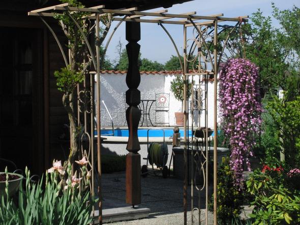 - (Pflanzen, Blumen)