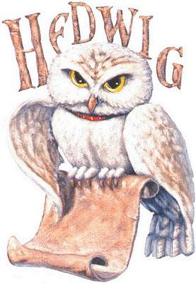 Hedwig Harrys Eule - (Bilder, zeichnen, Harry Potter)