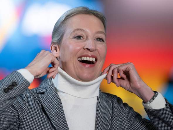 Bild zum Beitrag
