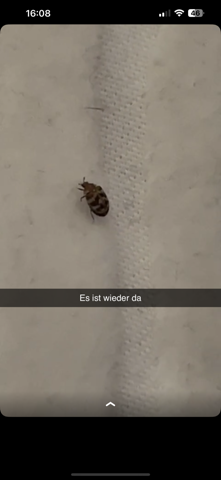 Bild zum Beitrag