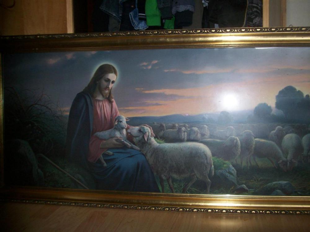 Bild plus funktioniert nicht Bild plus funktioniert nicht