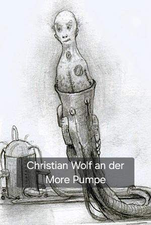 Bild zum Beitrag