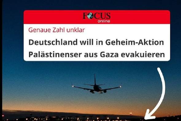 Bild zum Beitrag