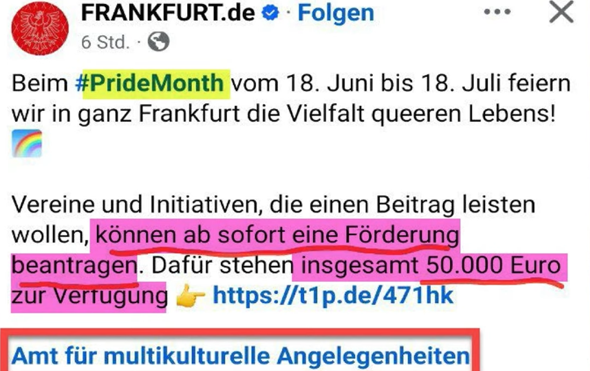 Bild zum Beitrag