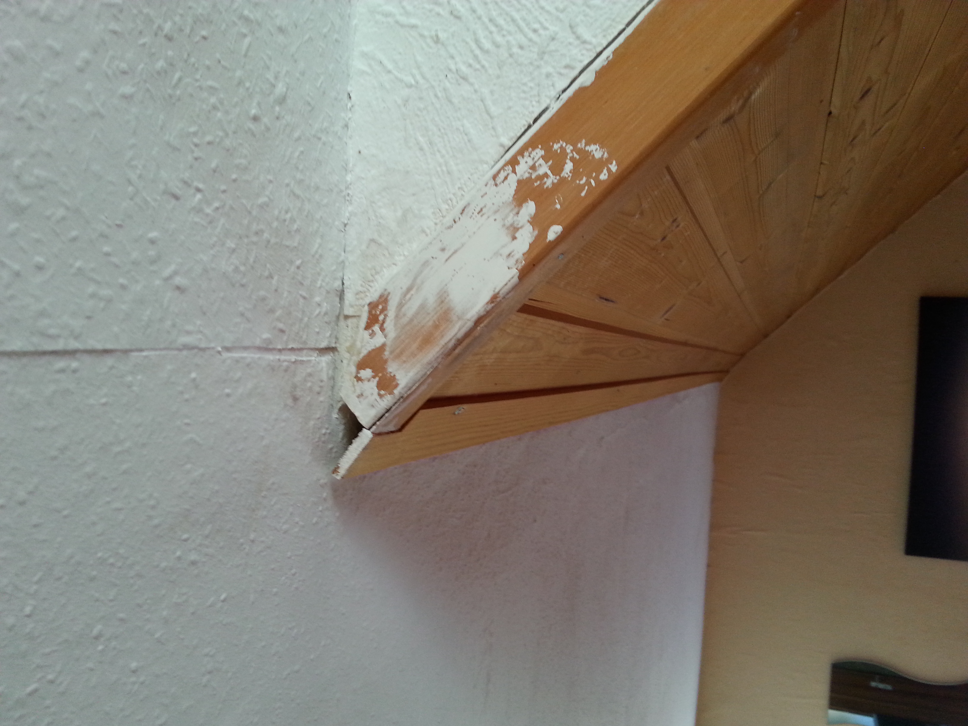 Wie Bekomm Ich Wespe Aus Dem Loch Im Zimmer Wieder Raus Wespen