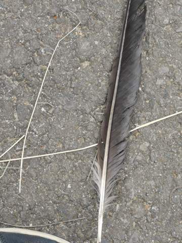 Bild zum Beitrag