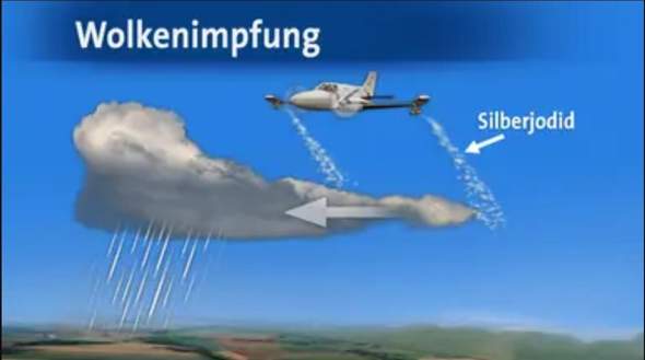 Bild zum Beitrag