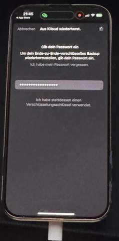 Bild zum Beitrag
