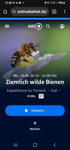 Bild zum Beitrag