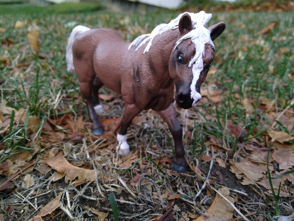 Wie Viel Kann Ich Fur Ihn Verlangen Spiele Und Gaming Schleich