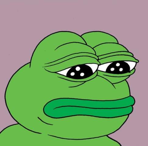 This Politician Signed A Pepe The Frog That Was Modelled On Him