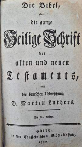 Bild zum Beitrag