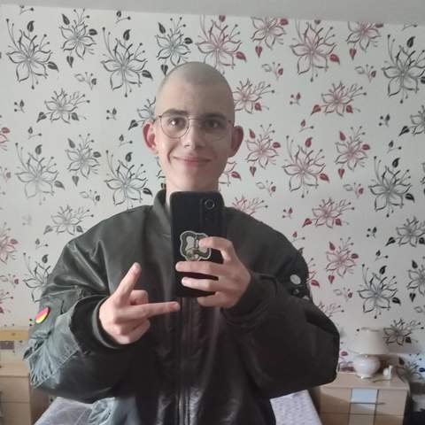 Bild zum Beitrag
