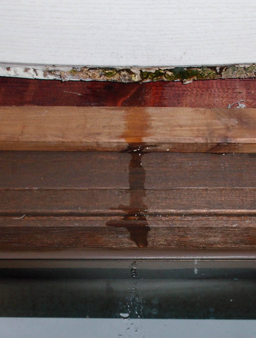 Ausschnitt Rand Profilholz / Fensterrahmen - (bauen, heimwerken, DIY)