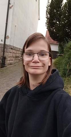 Bild zum Beitrag