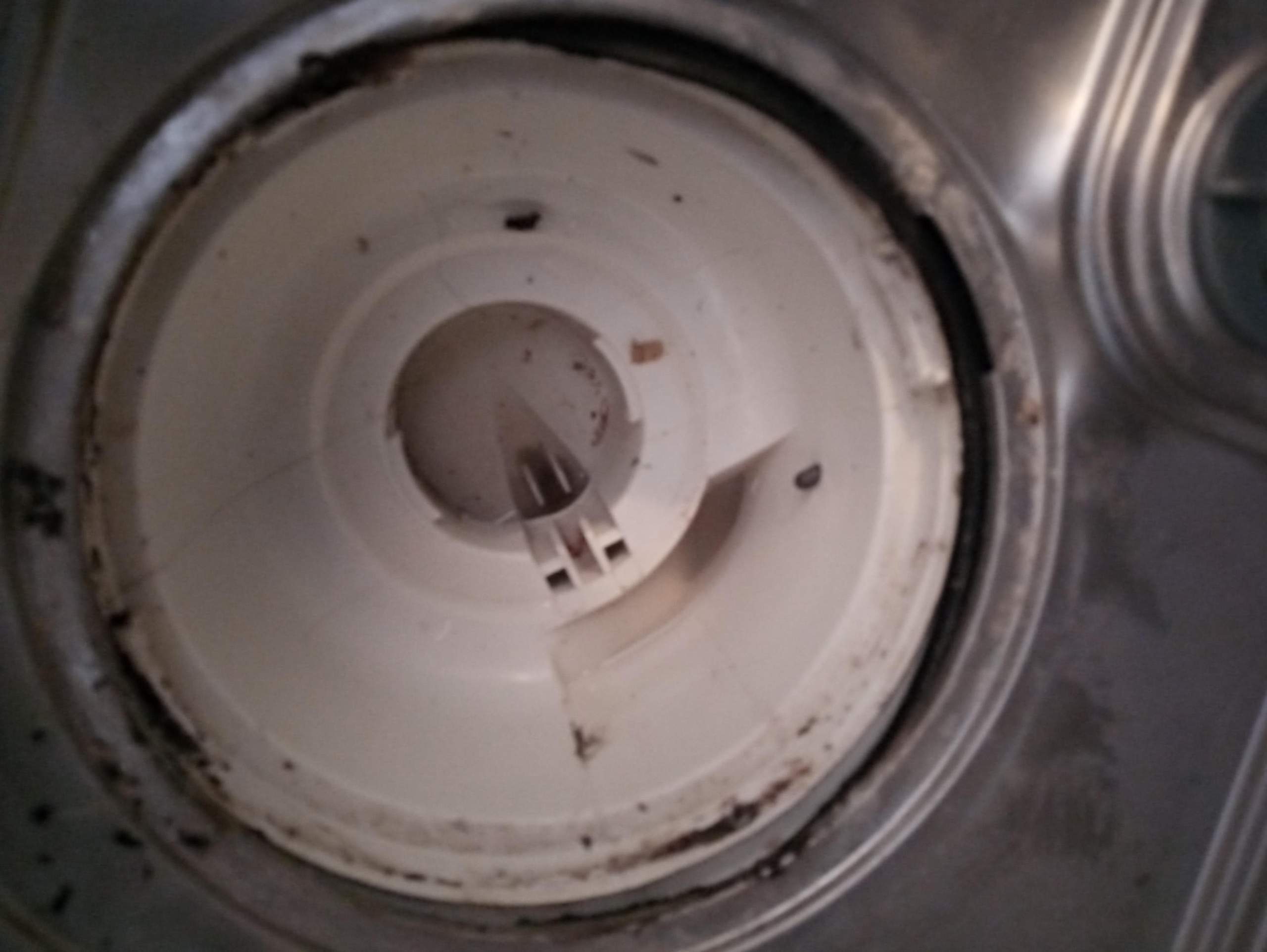 Wie baue ich die Pumpe beim Thor Geschirrspüler aus? (Technik, Technologie, Küchengeräte)