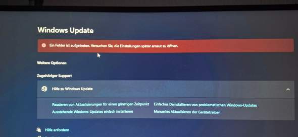 Bild zum Beitrag