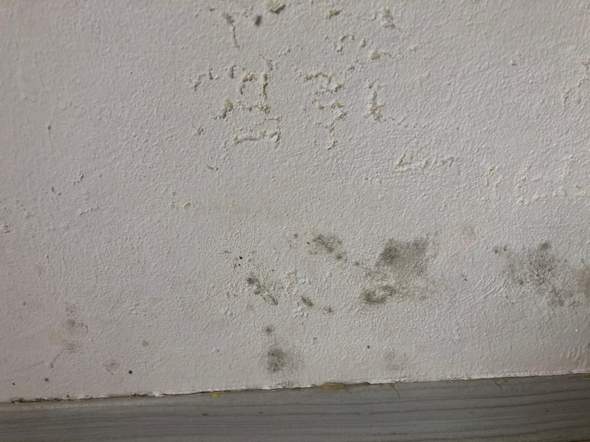 Wie Bekampfe Ich Schimmel An Der Wand Haus Schimmelbefall Schimmelbildung