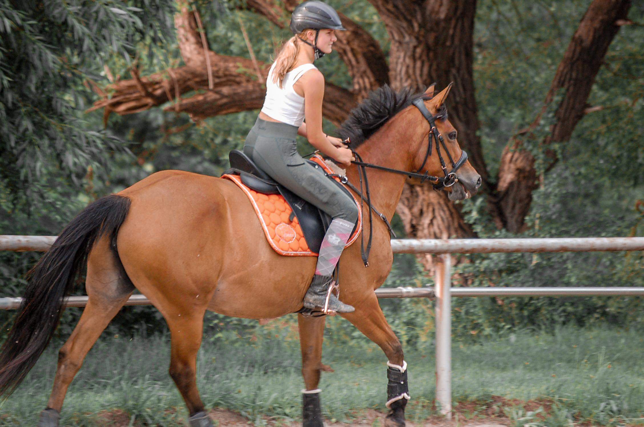 Wie bekomm ich die delle bei meinem Pony raus? (Gesundheit und Medizin