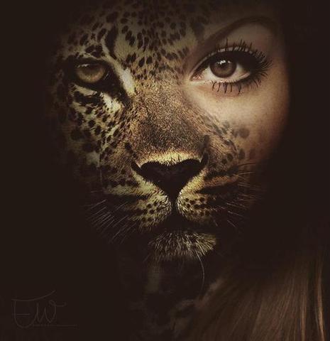 Tiger halb Mensch *-* - (Computer, tiger, tigergesicht)