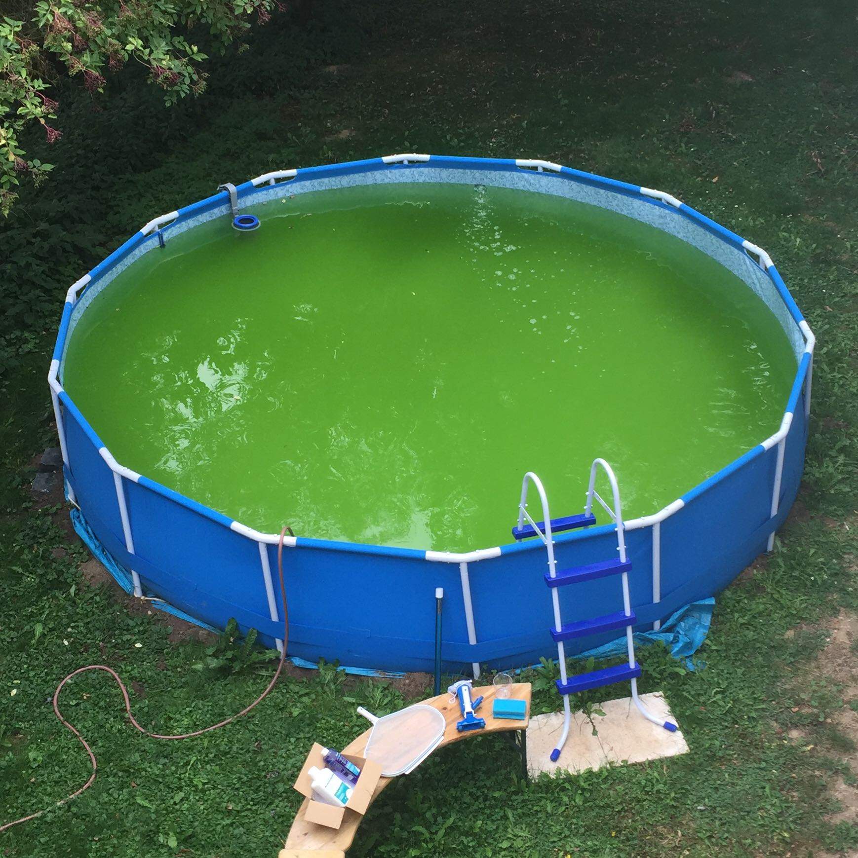 Wie bekomme ich den Boden sauber? (Wasser, Garten, Pool)