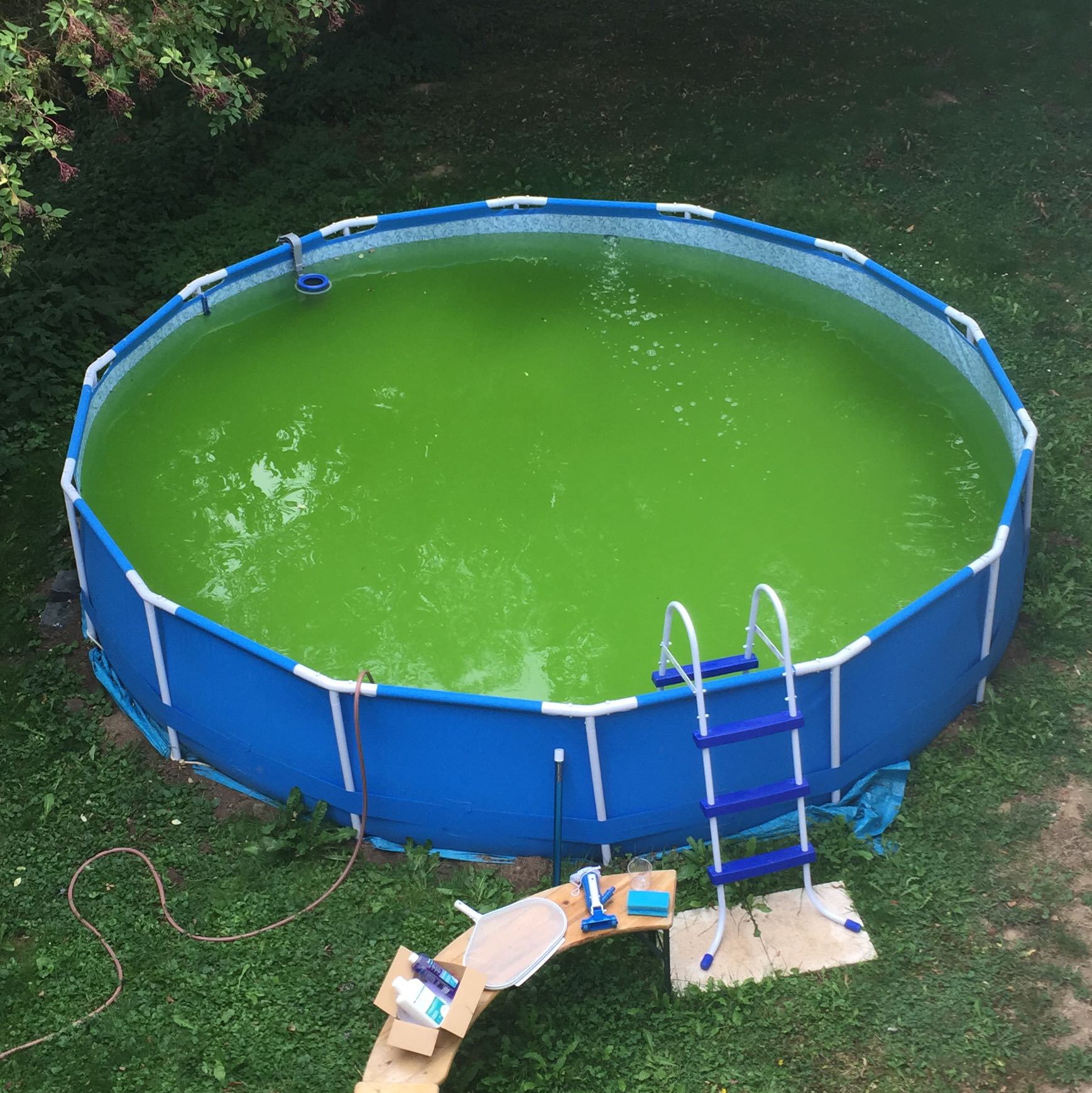 Poolboden grün 