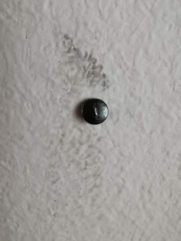 Wie bekomme ich den Nagel aus der Wand raus beziehungsweise bisschen raus.?