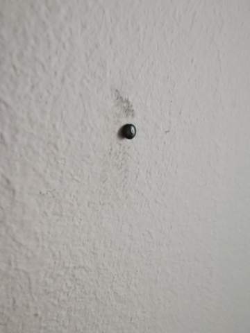 24 Wie Bekomme Ich Wandfarbe Aus Der Kleidung 24 Wie Bekomme Ich Wandfarbe Aus Der Kleidung