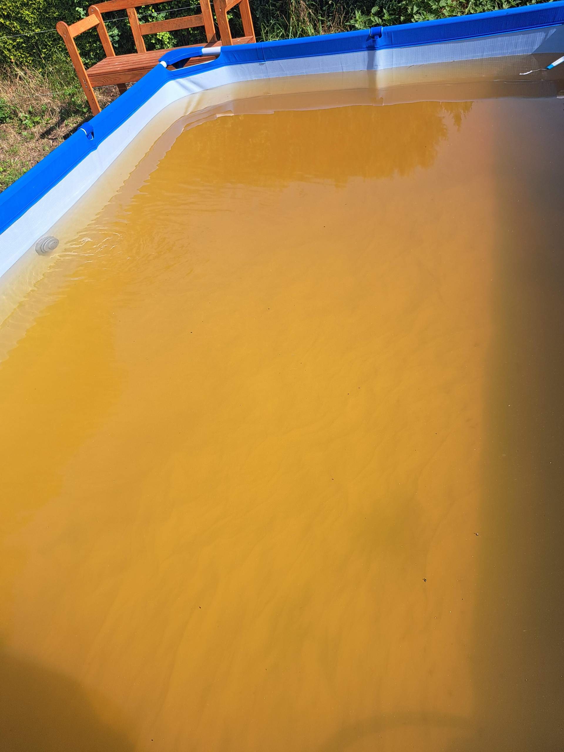 Pool Grünes Wasser Klar Bekommen Vitamin C Wie bekomme ich den pool klar? (Wasser, Poolwasser)