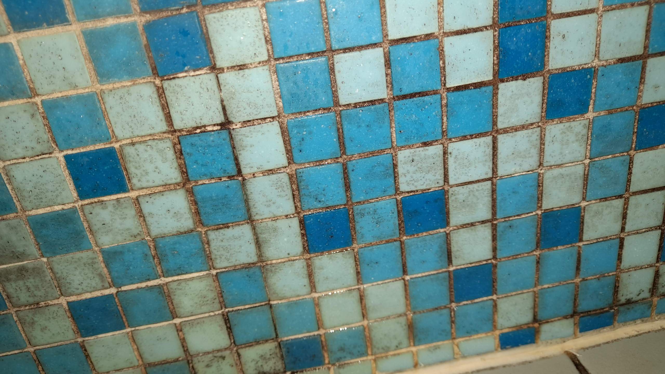 Wie bekomme ich den Schimmel weg im Bad im Mosaik,Badewanne und Fliesen? (Gesundheit, Wohnung