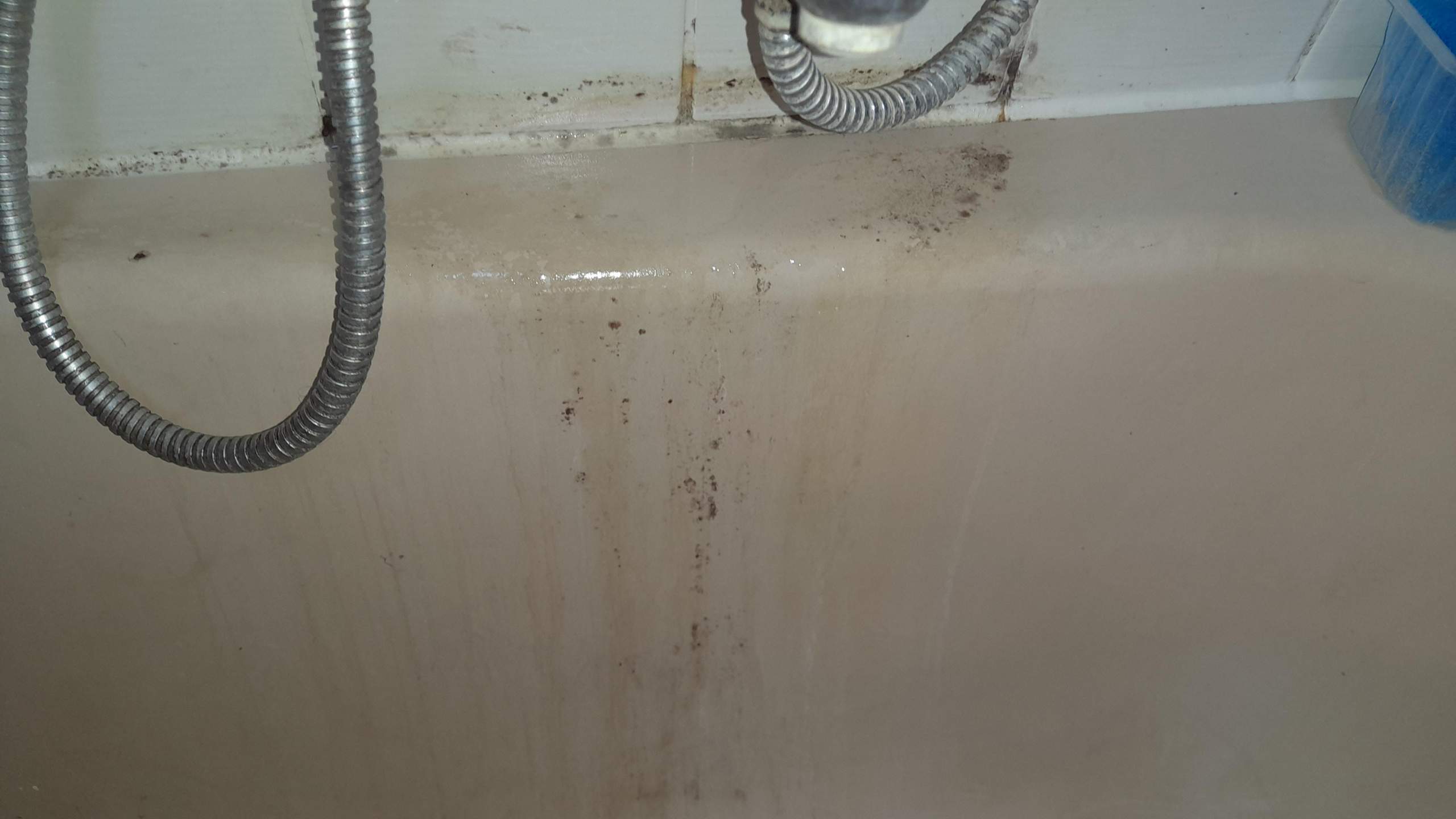 Wie bekomme ich den Schimmel weg im Bad im Mosaik,Badewanne und Fliesen? (Gesundheit, Wohnung, Haus)