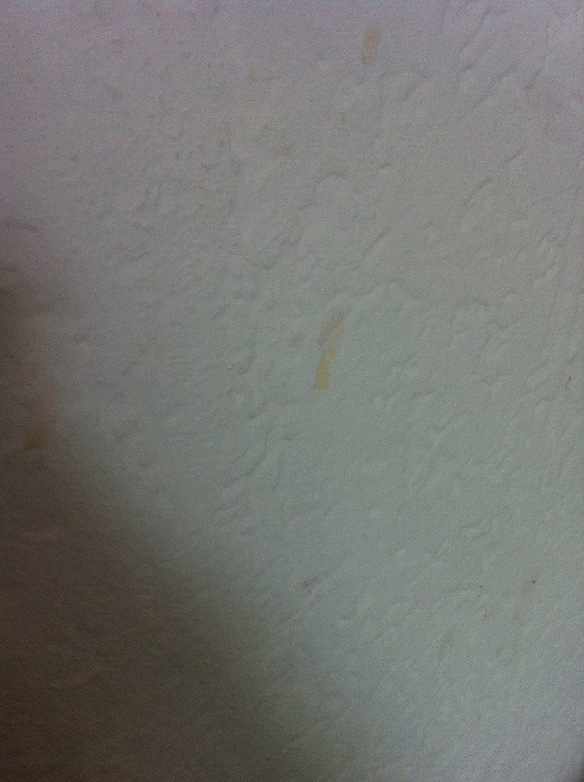 Wie Bekomme Ich Wasserflecken An Der Wand Weg