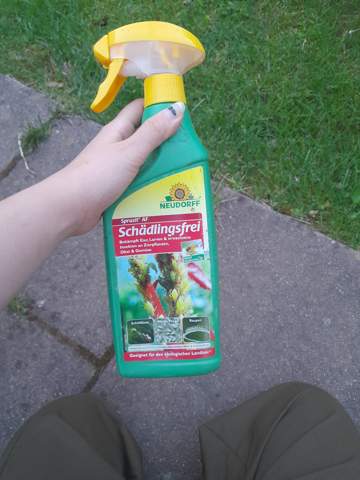Bild zum Beitrag