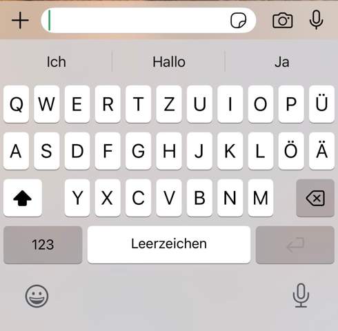 Bild zum Beitrag
